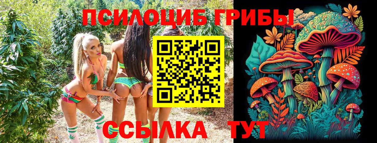 Галлюциногенные грибы мухоморы  Галлюциногенные грибы мухоморы  Узловая  Вход с VPN 